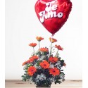 1 Base Madera, Follaje, 12 Gerberas, Globo (Te Amo)