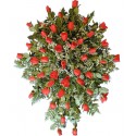 1 Cubre Urna, 50 Rosas