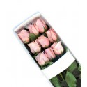 1 Caja, 9 Rosas Rosadas