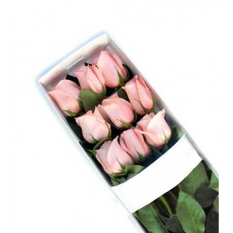 1 Caja, 9 Rosas Rosadas