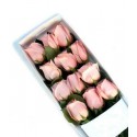 1 Caja, 12 Rosas Rosadas
