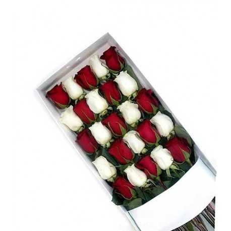 1 Caja, 25 Rosas Rojas y Blancas - Intercaladas