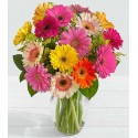 1 Florero de Vidrio, 18 Gerberas Surtidas
