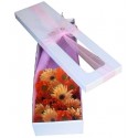 1 Caja, 18 Gerberas Surtidas