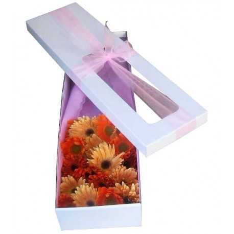 1 Caja, 18 Gerberas Surtidas