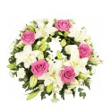 1 Corona, 5 Liliums, 5 Rosas y Maule