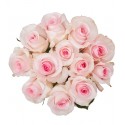 Ramo de 12 Rosas Rosadas