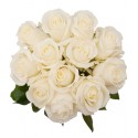 1 Ramo, 12 Rosas Blancas