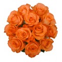 1 Ramo, 12 Rosas Naranjas