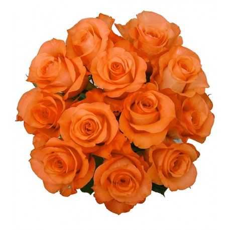 1 Ramo, 12 Rosas Naranjas