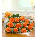 1 Ramo Extendido, 12 Rosas Naranjas