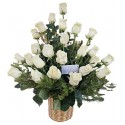 Canasta de condolencias con 24 rosas ecuatorianas