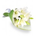 Ramo de Condolencias Pequeño con Liliums