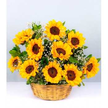 Canasta, 10 Girasoles