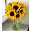 Florero con 8 girasoles