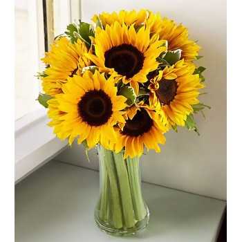 Florero con 8 girasoles