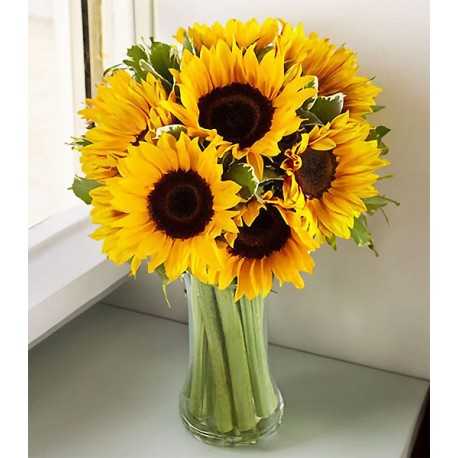 Florero con 8 girasoles