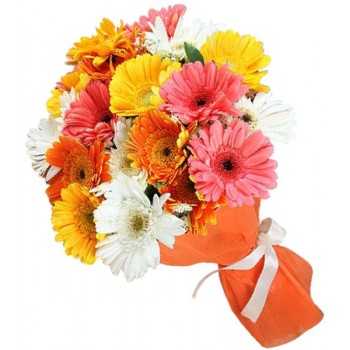 Hermoso ramo de 24 Gerberas