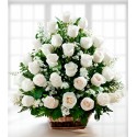 Canasta de 36 Rosas Blancas Fúnebres