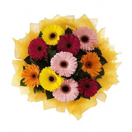 1 Ramo, 10 Gerberas Surtidas