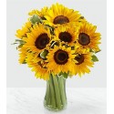 Florero con 10 Girasoles