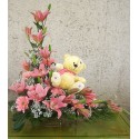 1 Arreglo en Ikebana 8 Liliums y 7 Gerberas + Osito Peluche
