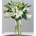 1 Florero de Vidrio, 5 Ramas de Liliums/ 2 Flores por Tallo