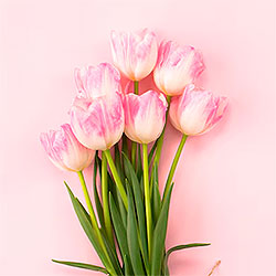 Flores para San Valentín